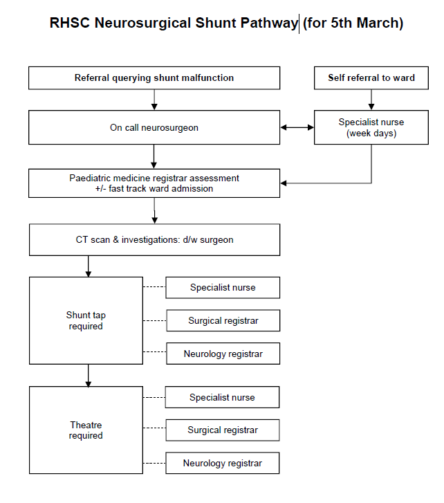 Neurosurgical shunt pathway