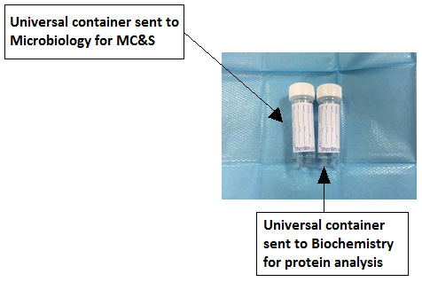 Fig 6. container examples