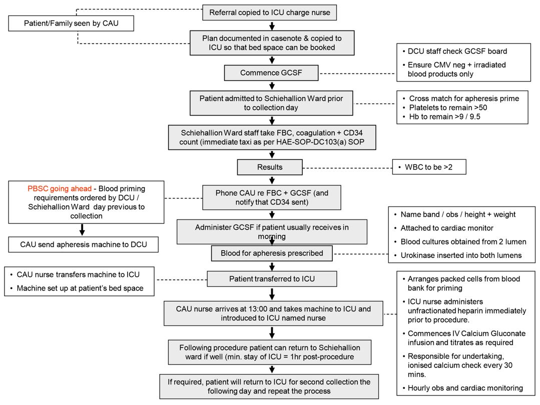 Management & Preparation of Patients for Autologous Haemopoietic Stem ...