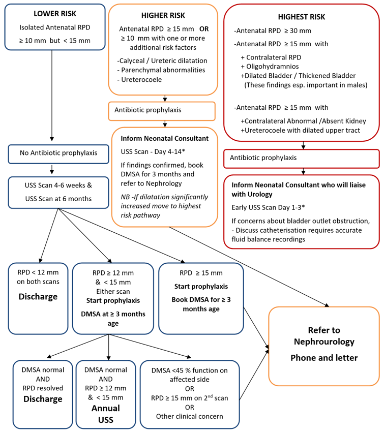 This is a flow chart for Management of Antenatal Renal Pelvis dilatation