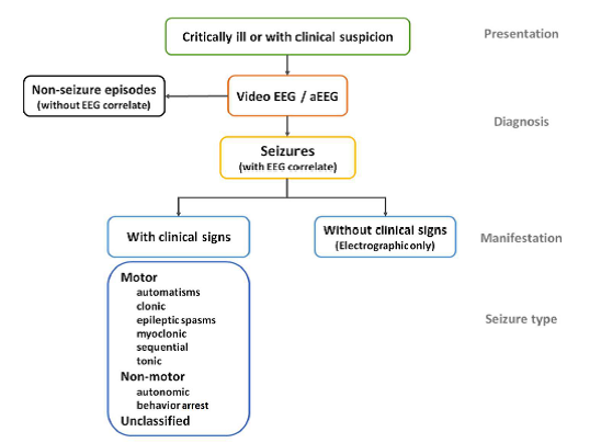 types of seizures and durations