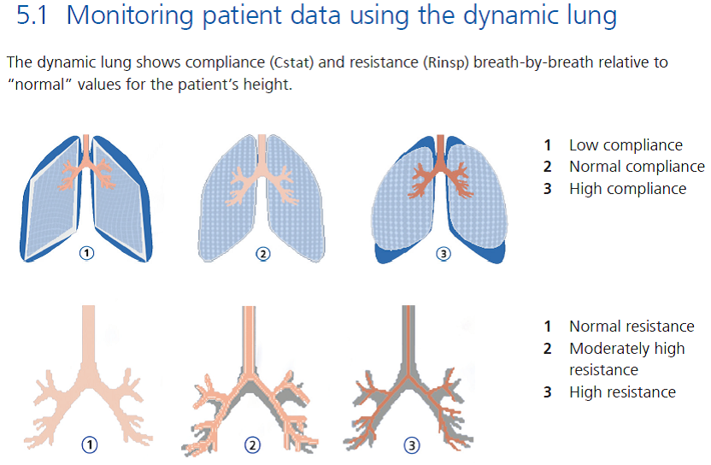 5.1 Monitoring patient date using dynamic lung