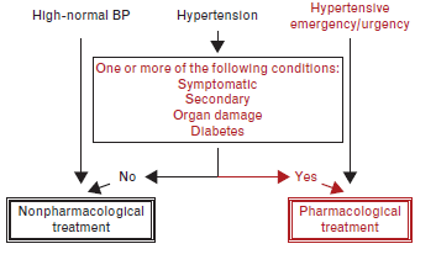 Hypertension In Paediatrics Renal Unit Rhc