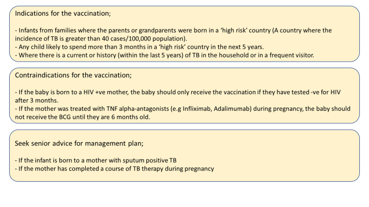 Indications and contraindications for BCG vaccination