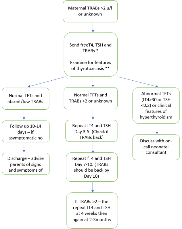 Hyperthyroidism flowchart