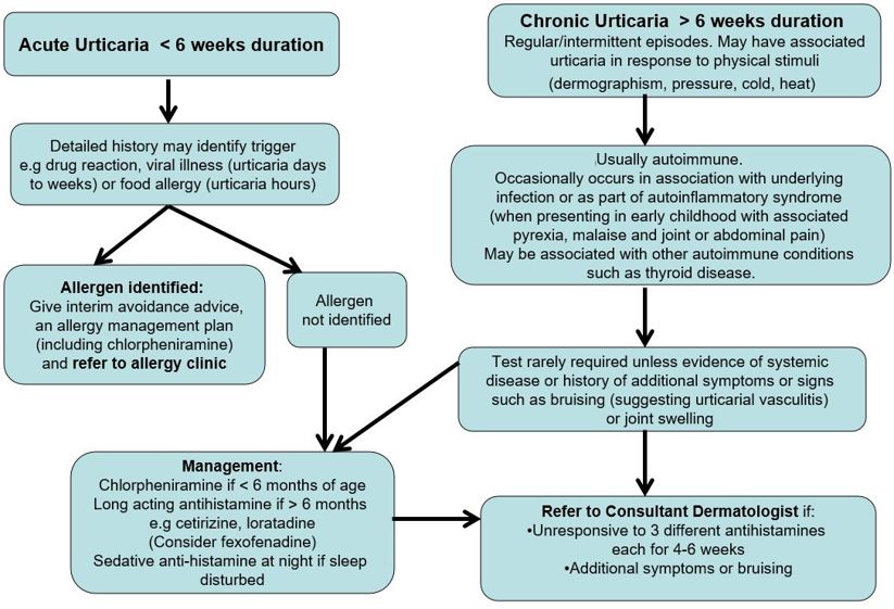 Image of primary care management of paediatric urticaria flow diagram