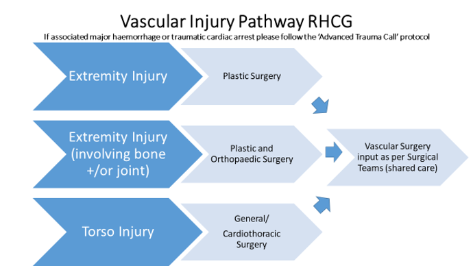 Vascular injury pathway image