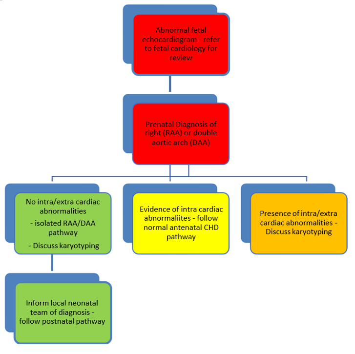 Prenatal pathway flowchart