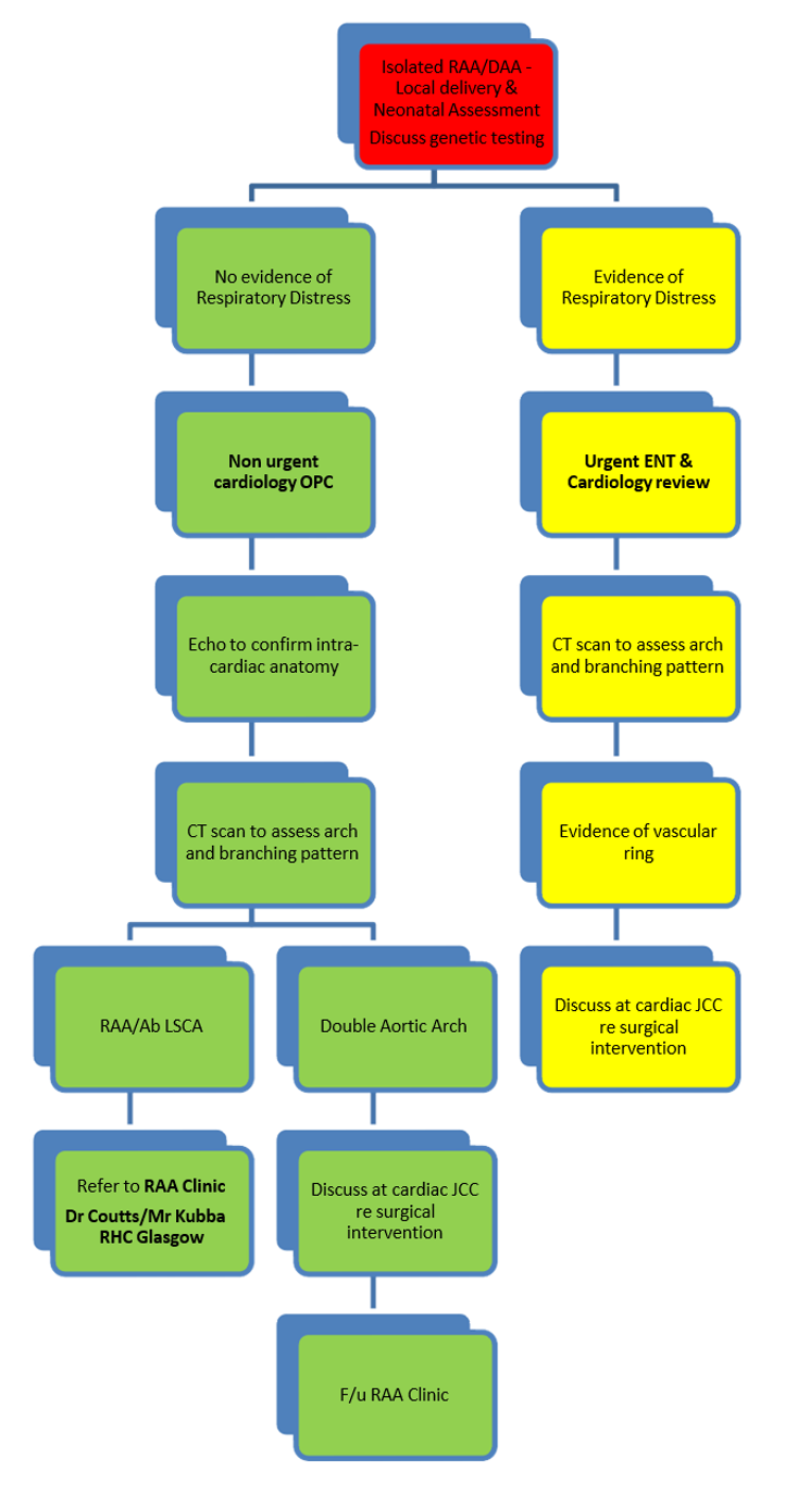 Postnatal pathway flowchart